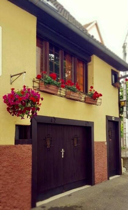 Chez Mamema, Maison Alsacienne Route Des Vins Kintzheim Exterior photo